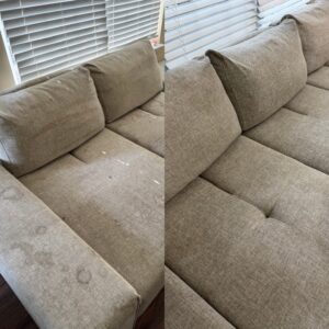 Carpet and Upholstery Cleaning Charleston SC – professional sofa and carpet cleaning results